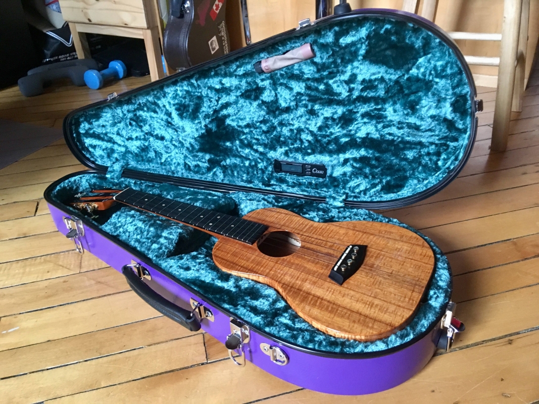 Main Stage Cases Music NB